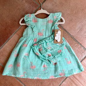 NWT Angel Dear Flamingo Muslin Ruffle Sun Dress & Bloomer